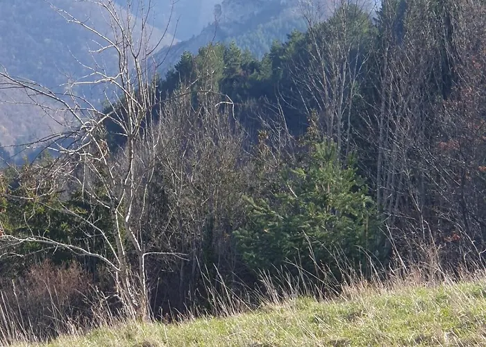 En Pays Cathare Reservable Du Samedi Au Samedi Les Mois De Juillet Et Aout